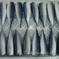 Hgt Frozen Pacific Mackerel Best Brands Chinese Frozen Fish Mackerel hgt For Canned Manufactory